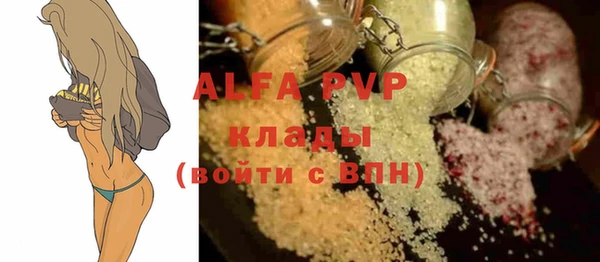 стафф Алексин