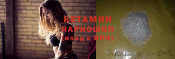 стафф Алексин