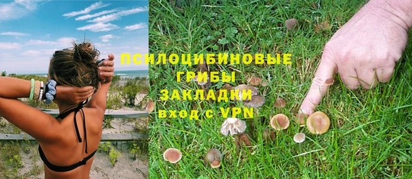 стафф Алексин