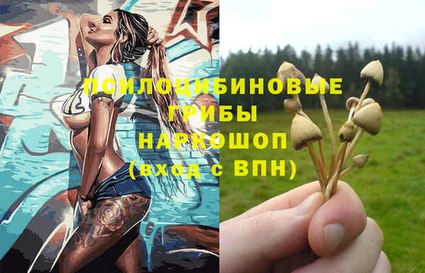 стафф Алексин
