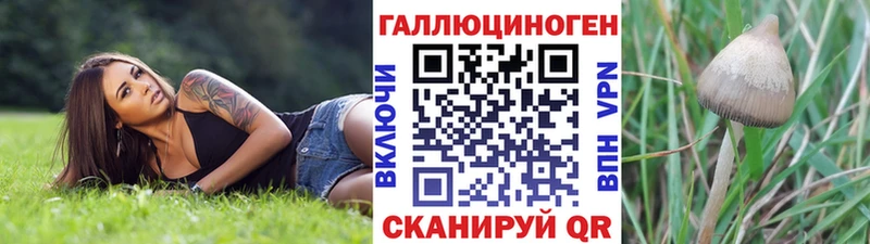 Галлюциногенные грибы мухоморы  Гдов 
