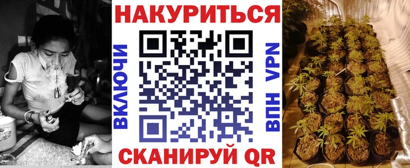 Конопля MAZAR  Гдов 